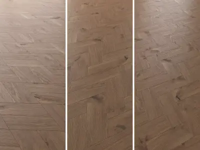  Parquet Oak Vergne Wild Wood set 5 3D model