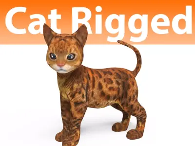 Cute Cat Rigged Low-poly 3D model