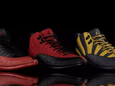 Nike Air Jordan 12 3D model