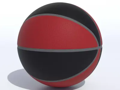 Wilson Toronto Raptors Basketball 3D model