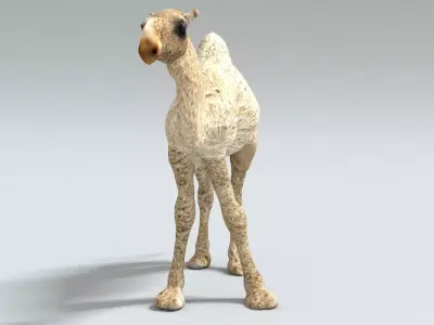 laos Dromedary 3D model