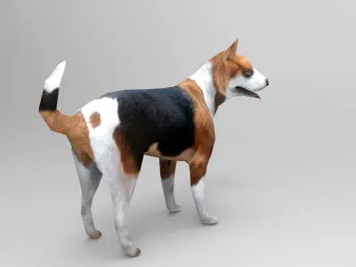 3D dog rigged  animated game ready low poly Low-poly 3D model