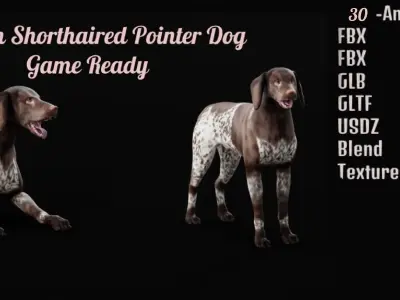 German Shorthaired Pointers Dog 3D model