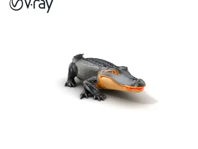 American Alligator D Model Pack with Detailed Textures Low-poly 3D model