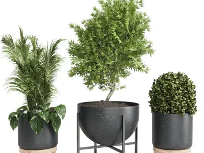 collection Indoor plant 32-marble vase Low-poly 3D model