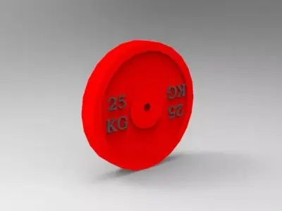 Bumper Plate 25 Kg 3D print model