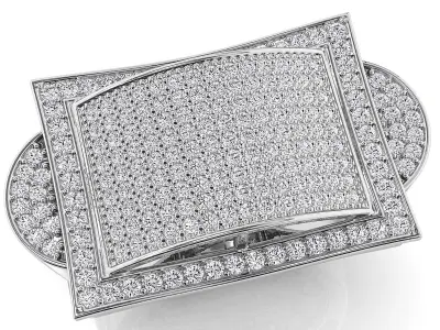 Bid fancy mans ring 3D print model