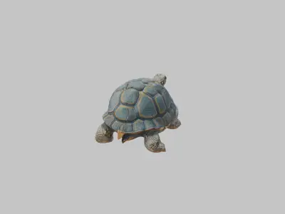Detailed Lowpoly Tortoise Low-poly 3D model