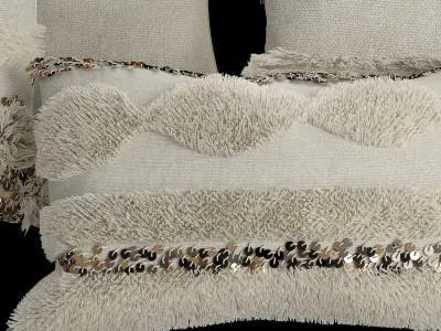 RH Morrocan Pillows2 3D model