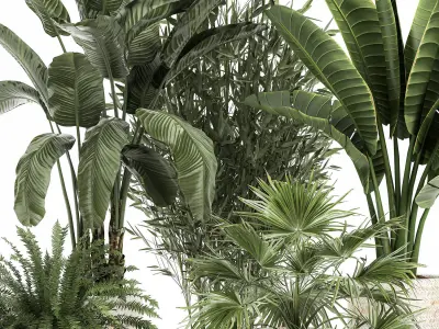 Ornamental plants in rattan baskets 1086 3D model