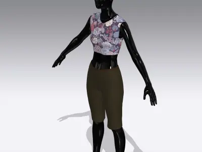Woman Cloth Dress Low-poly 3D model order