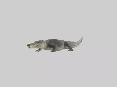 Nile Crocodile basking model Low-poly 3D model