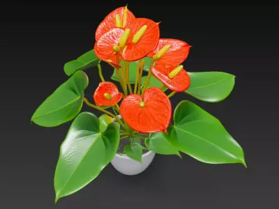 Anthurium Plant Pot 3D model