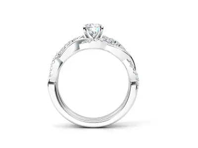 twist ring set  3D print model