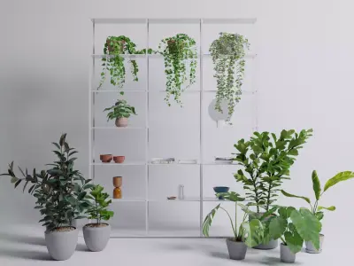 Potted plants with shelf set 1 3D model