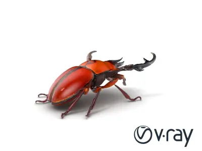 Intricately Modeled Stag Beetle model pack Low-poly 3D model