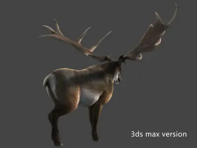 megaloceros elk deer moose Low-poly 3D model