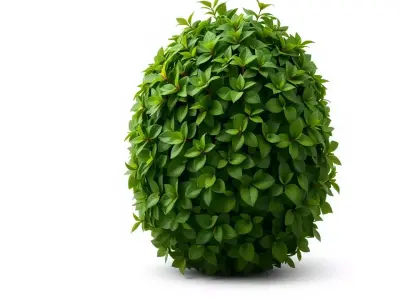 Leafy Bush Sphere model pack Low-poly 3D model