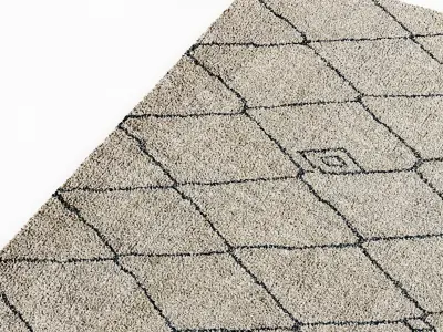 Restoration Hardware rug 3D model