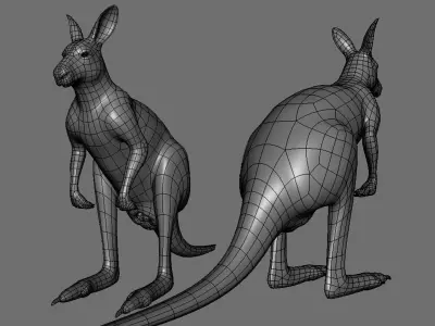 Kangaroo Male BaseMesh Low-poly 3D model