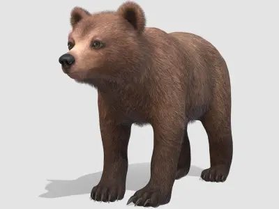BEAR - CUB Low-poly 3D model