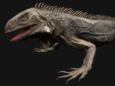 Iguana Reptile Low-poly 3D model