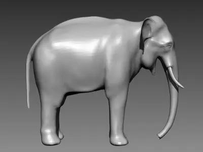 Elephant base mesh for Zbrush 3D model