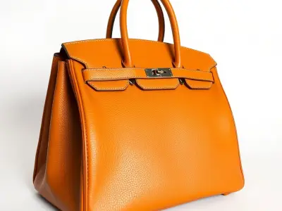 Luxurious Leather Handbag D Model Pack Low-poly 3D model