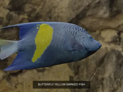 Five fishes 3D Model Collection