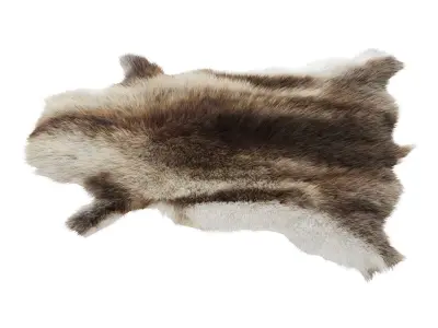 Reindeer skin carpet 3D model