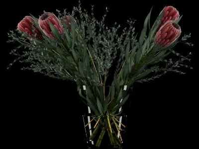 Protea with Eucalyptus parvifolia 3D model