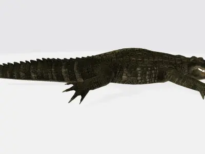 alligator 3D model