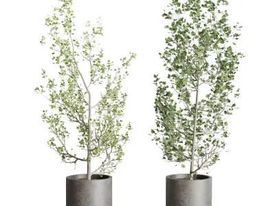 Collection Outdoor plant 106 pot Tree Bush Concrete Dirty Vase 3D model