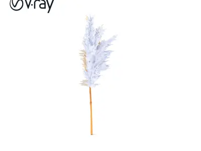 Pampas Grass Model Pack  Realistic Decorative Element Low-poly 3D model