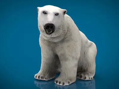 POLAR BEAR FEMALE  Low-poly 3D model