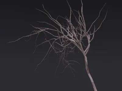 Thin Branch Low-poly 3D model