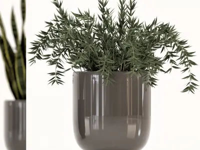 Collection of plants-003 3D model