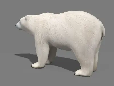 Polar Bear PRO 3D model