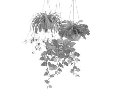 Houseplant 43 3D model