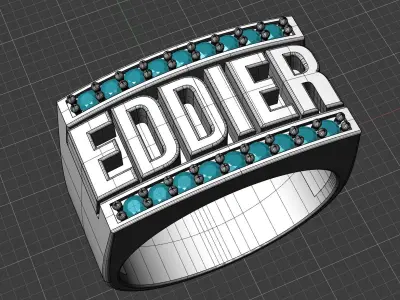 Eddier ring 3D print model