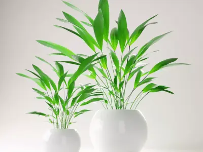 Home pot plant - palm decoration for interior design 3D model