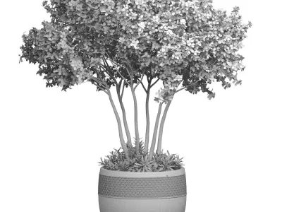 Decorative tree in a modern pot and flowerpot Indoor plant 3D model