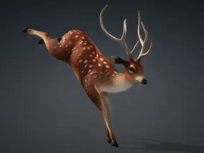 Deer-C2 3D model