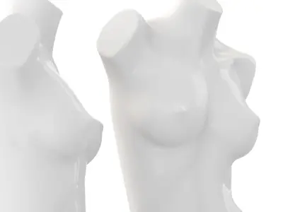 Female Mannequin Torso 3D model