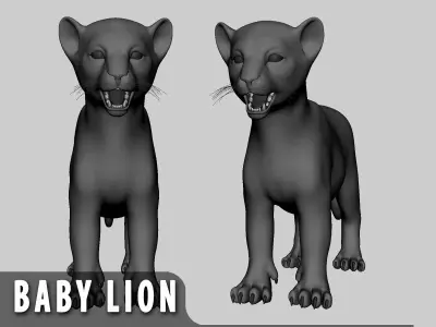 Baby Lion Low-poly 3D model