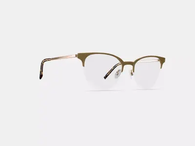 Sahana Eyeglasses in Polished Gold 3D model