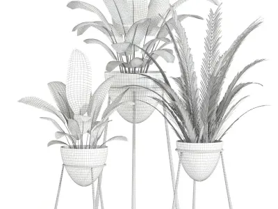 indoor plant set 055 Low-poly 3D model