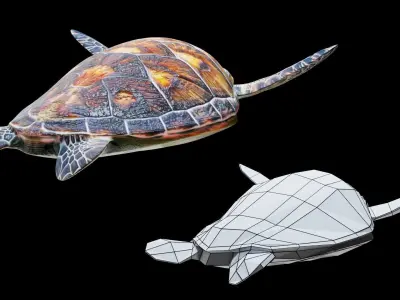 Animated Sea Turtle Low-poly 3D model