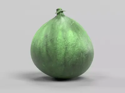 -Fig - Green- 3D model
