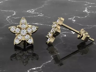 Jewelry Earring 3D print model